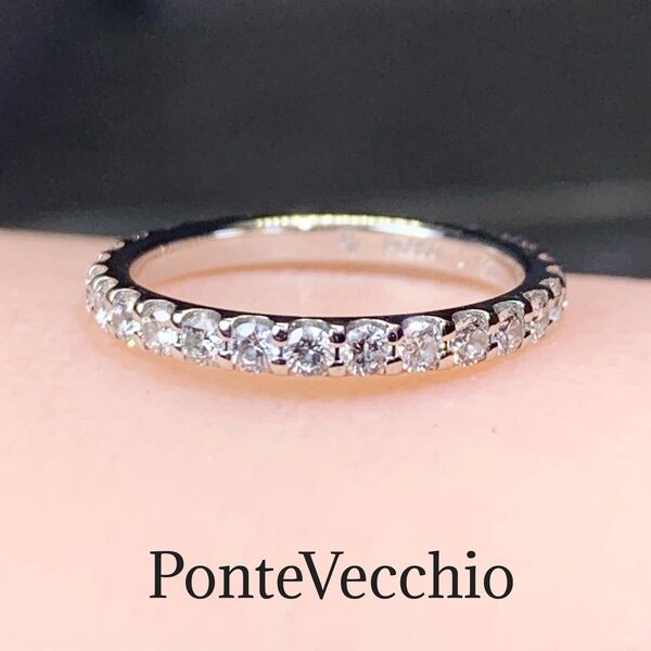 ポンテヴェキオ プラチナ ダイヤモンド 0.70ct フルエタニティリング