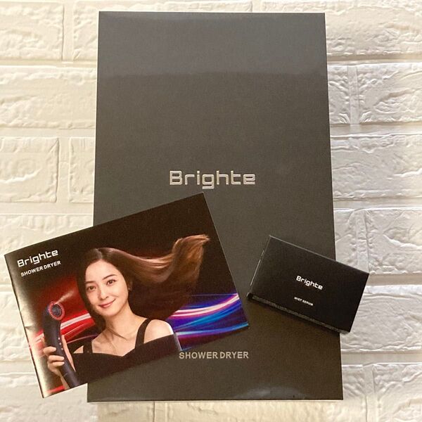 Brighte SHOWER DRYER ブライト シャワードライヤー ミスト付 新品未開封 ミストドライヤー