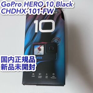 GoPro HERO 10 Black CHDHX-101-FW