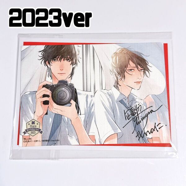 美しい彼 chara birthday 2023 描き下ろし スタンドキャンバス 北野仁 凪良ゆう キャラバースデー BL