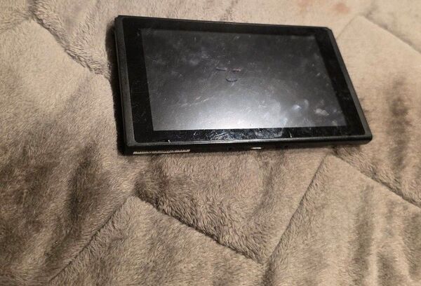 Switch本体のみ