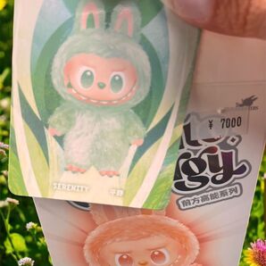 POP MART LABUBU The Monster