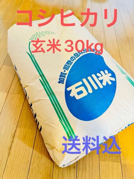 令和6年 お米 玄米 30kg コシヒカリ 石川県 送料込