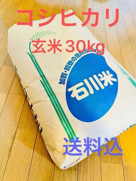 令和6年 お米 玄米 30kg コシヒカリ 石川県 送料込