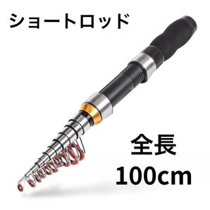 穴釣りロッド コンパクト ショート 短竿 ブラクリ 探り釣り 黒 100cm ロッド 根魚 子供 防波堤 穴釣り ちょい投げ