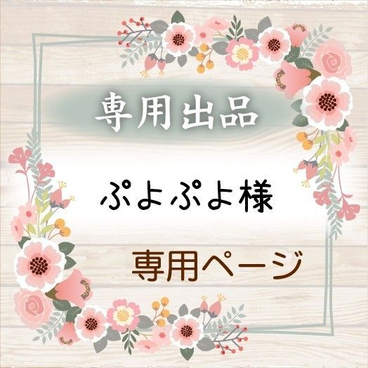 ★ぷよぷよ様★専用【特別栽培米 朝日】20kg