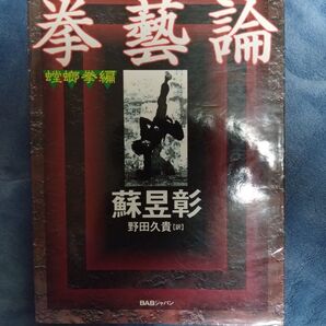 拳藝論