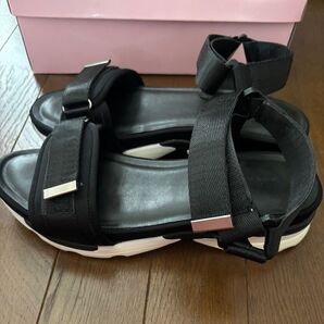 ジェリービーンズ スポサン