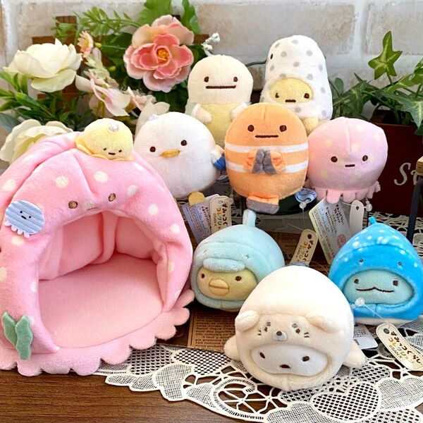 すみっコぐらし てのりぬいぐるみ◇くまのみ うみねこ くらげ チンアナゴ うみがめ くらげのおうち すみっコとうみっコ レア
