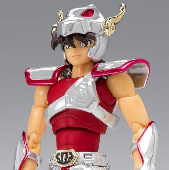 輸送箱未開封 聖闘士聖衣神話 ペガサス星矢 初期青銅聖衣 20th Anniversary Ver