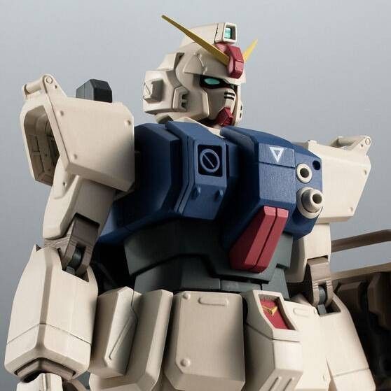 ROBOT魂<SIDE MS> RX-79(G) 陸戦型ガンダム (砂漠仕様) ver. A.N.I.M.E.