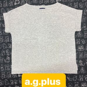 a.g.plus エージープラス グレー 半袖Tシャツ Fサイズ