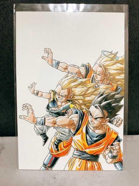 ドラゴンボールZ ホロカード 展覧会 【孫悟空・孫悟飯・ゴテンクス】