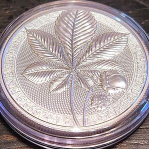 2021年 セントヘレナ マロニエの葉 銀貨 1オンス 未使用