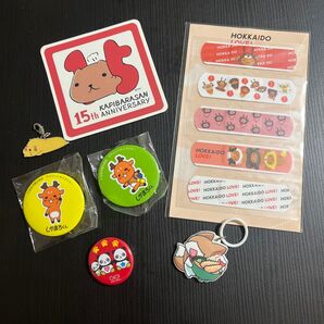 カピバラさん しかまろくん キュンちゃん パンダ いなりさん 缶バッジ 絆創膏 ゆるキャラグッズ まとめ売り