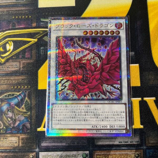 遊戯王 ブラック・ローズ・ドラゴン クオシク 25th QUARTER CENTURY ART COLLECTION