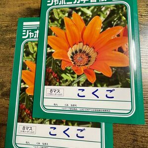 ジャポニカ学習帳 ノート こくご 8マス 2冊セットショウワノート 小学生 1年
