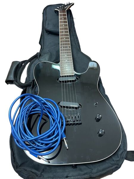 希少品 FERNANDES TEJ-STD 2S Limited Edition布袋 モデル ギグバック 付