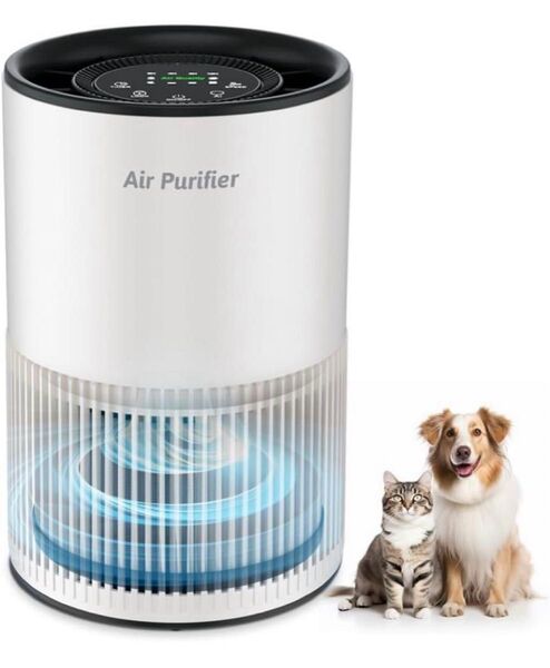 空気清浄機 小型 静音 卓上 20畳 PM2.5 タバコ 除菌 アレルギー対策