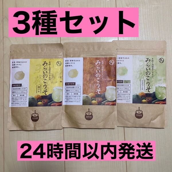 【新品未開封】 みらいのこうそ 100g 3袋 レモン味 マスカット味 柚子味