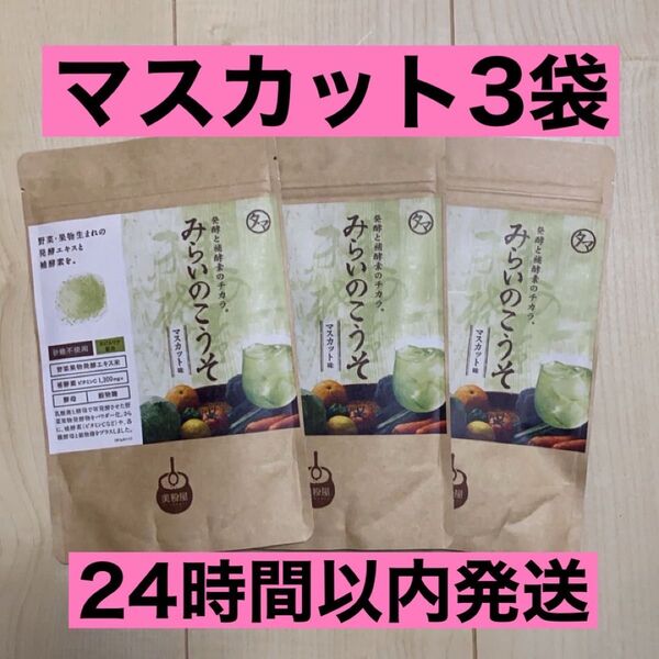 【新品未開封】 みらいのこうそ マスカット味 100g 3袋 タマチャンショップ