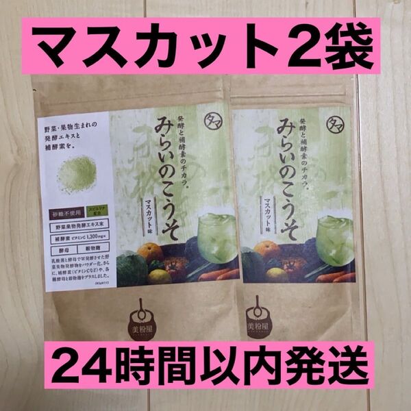 【新品未開封】 みらいのこうそ マスカット味 100g 2袋 タマチャンショップ