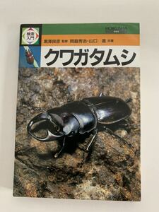  Hoikusha search introduction stag beetle 