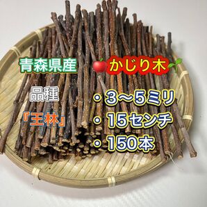 青森県産 りんご『王林』のかじり木 150本