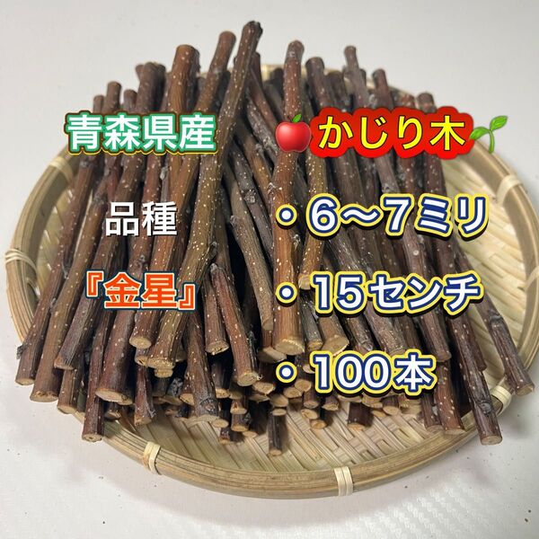 青森県産 りんごの木 かじり木 金星 100本