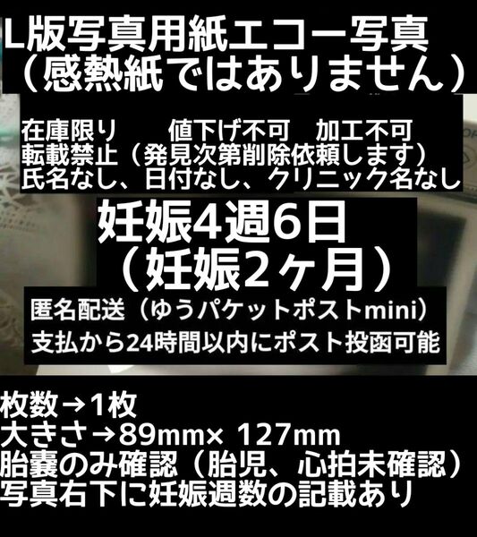 【値下げ不可】L版写真用紙 妊娠4週6日 エコー写真 妊娠初期 妊娠2ヶ月