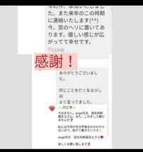 あなたを波動メンテ金運祈祷し霊視、お祓いします。陰陽師あなたに尽くします鑑定書配達大人気_画像6