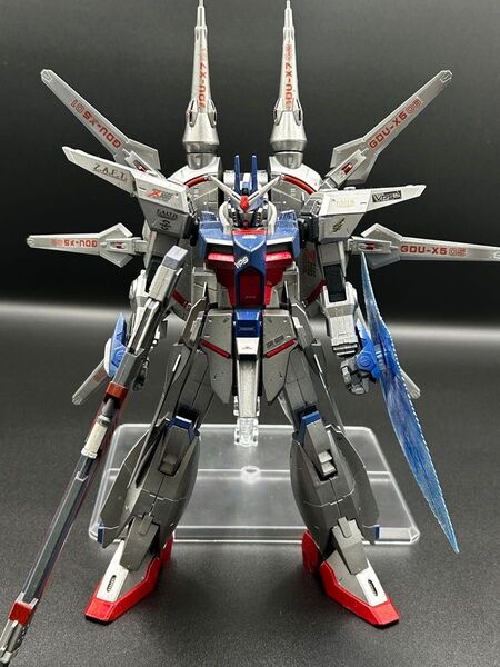 専用 29日まで取り置き 1/100 レジェンドガンダム