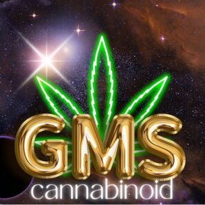 第二弾 1本