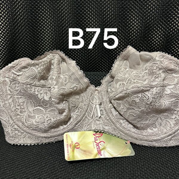 新品タグ付き 補正下着 ダイアナ ブラジャーB ボディスーツ ダイアジェンヌ ガードル ショーツ コルセット リセ ナチュール