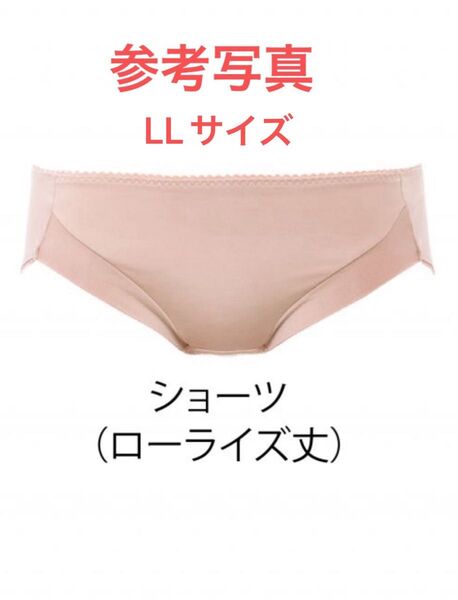 新品タグ付き 補正下着 ダイアナ ボディスーツ ダイアジェンヌ ショーツLL ブラジャー リセ ナチュール グラマラス