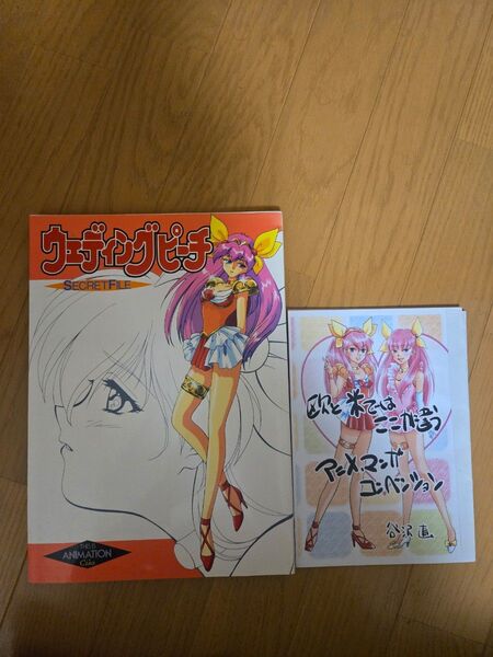 ウェディングピーチ シークレットファイル本、同人誌セット