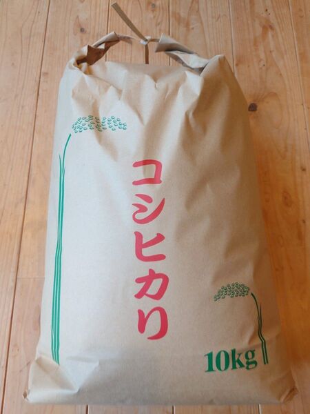 令和6年収穫 長野県産コシヒカリ白米8.8kg