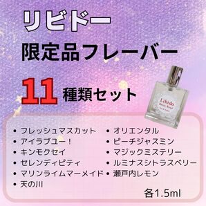 本日限定 リビドー 限定フレーバー 11種類 セット お試し