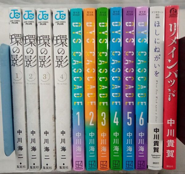 「DYS CASCADE」1-6巻 「環の影 」1~4巻 全巻セット 「」メインバッド」 「ほしにねがいを 」中川 海二 中川貴賀
