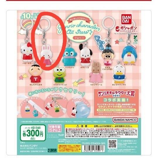 サンリオキャラクターズオールスター めじるしアクセサリー チェアリーチャム