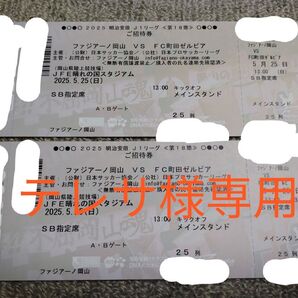 2枚 ファジアーノ岡山 VS FC町田ゼルビア チケット