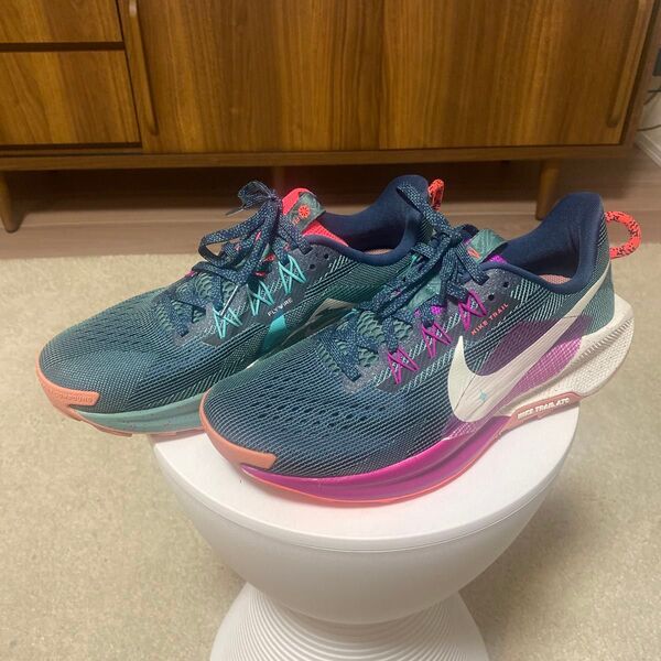 【美品】NIKE ナイキ ペガサス トレイル5 サイズ:26.0 トレイルシューズ ランニングシューズ