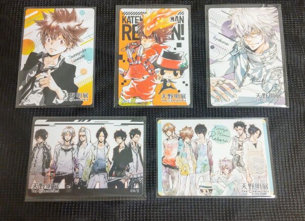 天野明展 家庭教師ヒットマンREBORN! マグネットステッカーコレクション まとめ売り