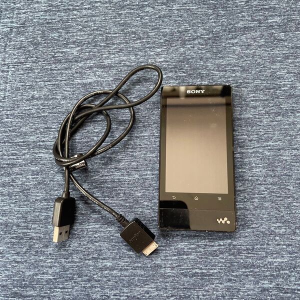 SONY WALKMAN ウォークマンNW-F805