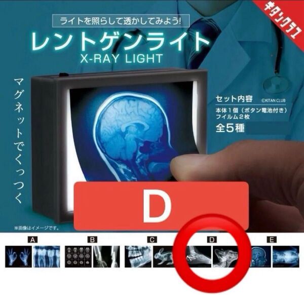 【D】ライトを照らして透かしてみよう! レントゲンライト ガチャ キタンクラブ
