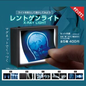 レントゲンライト ガチャ 全5種類 コンプリート品