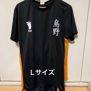 ハイキュー 烏野高校 ドライメッシュ 上下セット Lサイズ ドンキ アピタ コラボ