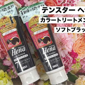 テンスター ヘナ カラートリートメント7 ソフトブラック 2本