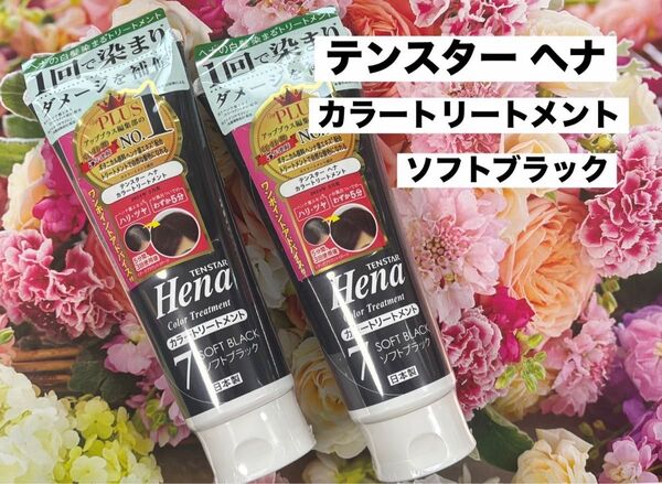 テンスター ヘナ カラートリートメント7 ソフトブラック 2本