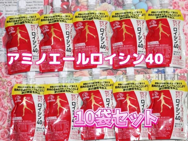 アミノエール ロイシン40(ゼリータイプ)10袋セット